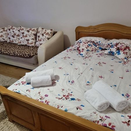 Garsoniera Emilia Apartment Campulung Moldovenesc Exterior photo