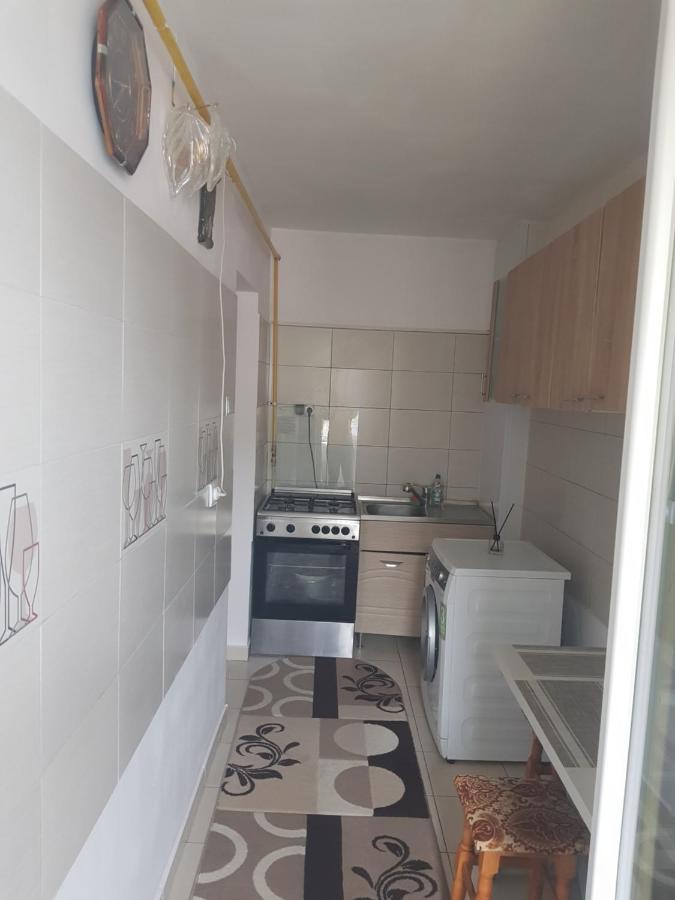Garsoniera Emilia Apartment Campulung Moldovenesc Exterior photo