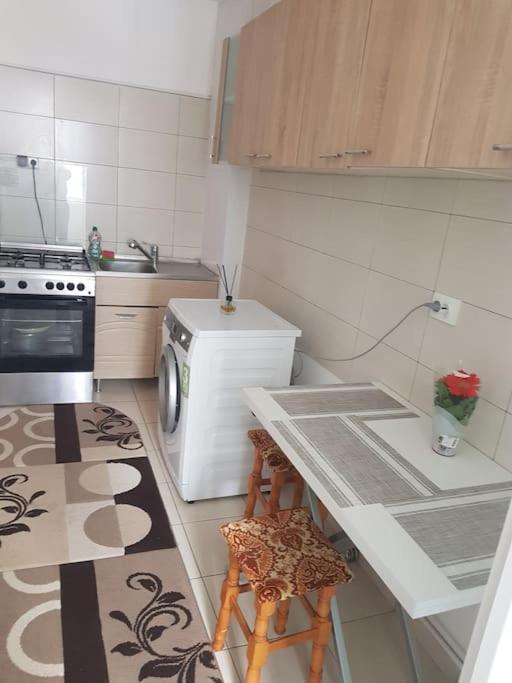 Garsoniera Emilia Apartment Campulung Moldovenesc Exterior photo