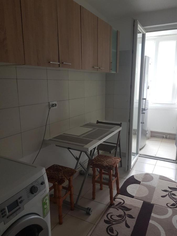 Garsoniera Emilia Apartment Campulung Moldovenesc Exterior photo