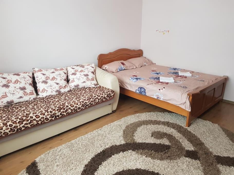 Garsoniera Emilia Apartment Campulung Moldovenesc Exterior photo