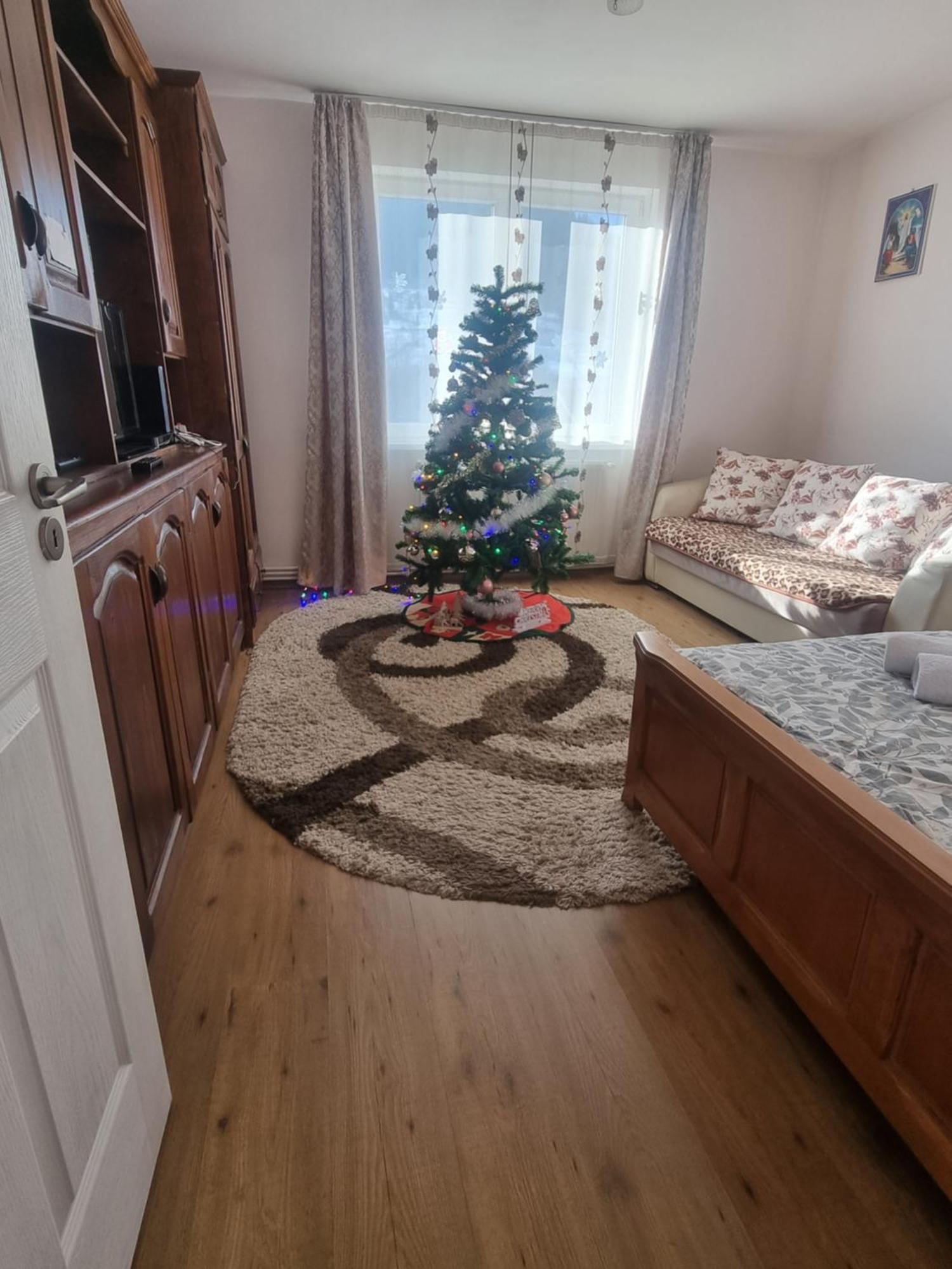 Garsoniera Emilia Apartment Campulung Moldovenesc Exterior photo