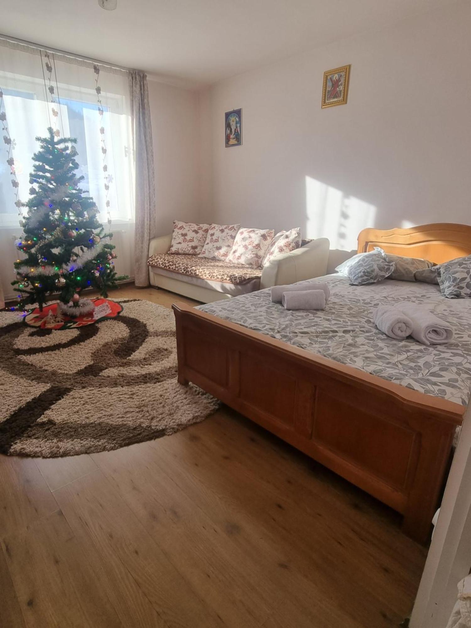 Garsoniera Emilia Apartment Campulung Moldovenesc Exterior photo